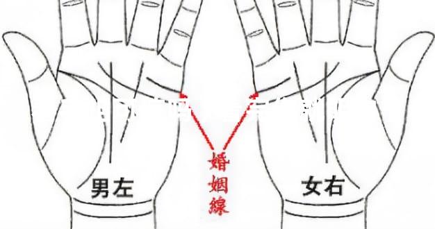 看手相可信吗,看完你就明白了